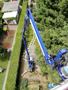 Große Fichtenhecke schneiden? Kein Problem.