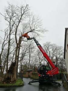 Auch auf engstem Raum ein Kraftpaket.