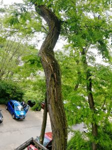 Schaden nach Sturmböe.