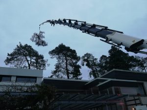 Kranfällung Eberstadt 2.