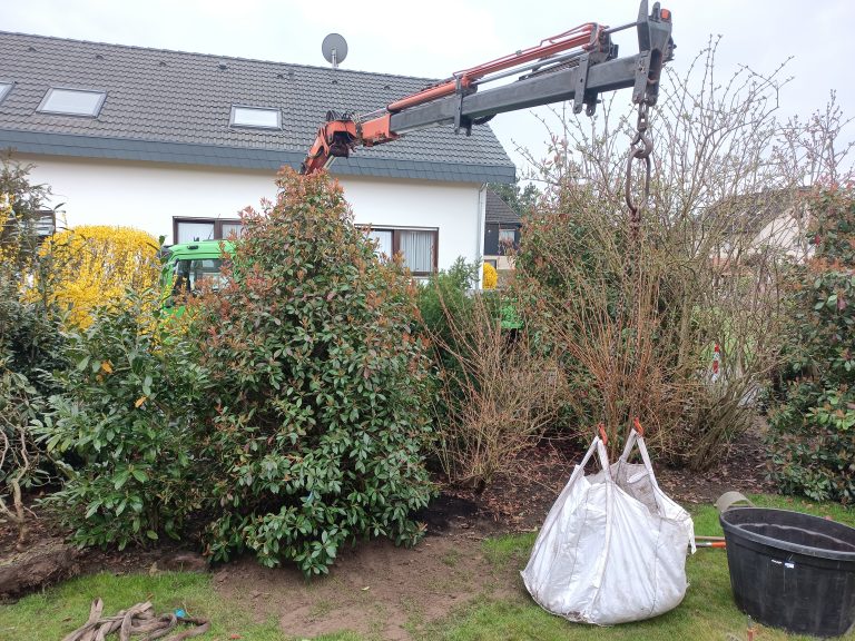 Fertig gesetztes Gehölz.