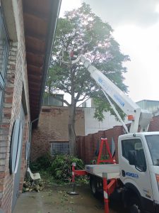 Während der Arbeiten.