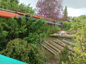 Verladearbeit mit Kran.